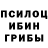 Галлюциногенные грибы мухоморы Im Clueless