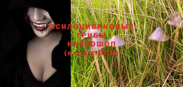 прущие крисы Аркадак