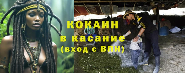 мяу мяу мука Арсеньев